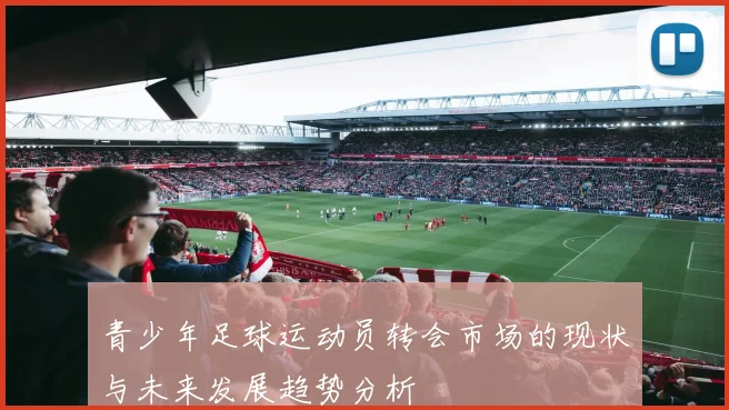 青少年足球运动员转会市场的现状与未来发展趋势分析