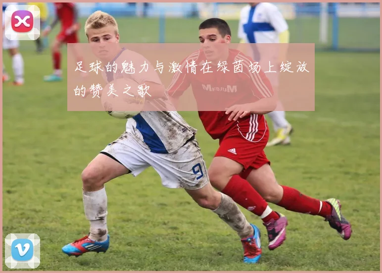 足球的魅力与激情在绿茵场上绽放的赞美之歌