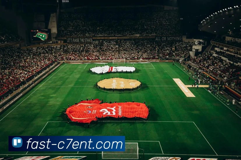 C7 娱乐平台生态图